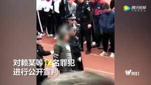 Trung Quốc mời dân tới xem tuyên án tử hình 10 tội phạm