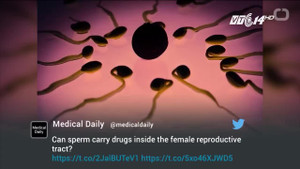 Điều trị ung thư bằng... tinh trùng