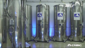 Đông lạnh cả gia đình để chờ ngày hồi sinh