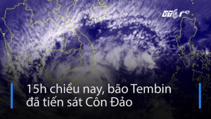 Côn Đảo mưa trắng trời, gió giật mạnh dữ dội trong bão cấp thảm họa