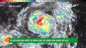 Vì sao năm nay Việt Nam hứng chịu số lượng bão nhiều kỷ lục?