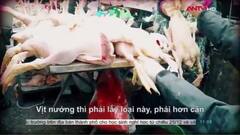 Rùng rợn loại vịt cỏ thịt sẵn '3 con chỉ 100 nghìn đồng' không rõ nguồn gốc từ đâu?