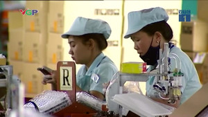 Đà Nẵng thưởng Tết cao nhất 300 triệu đồng, thấp nhất 100.000 đồng