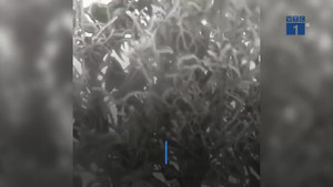 Đêm nay 9/1, miền Bắc và Hà Nội rét đỉnh điểm