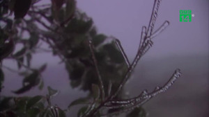 Du khách phấn khích ngắm băng giá trên đèo Ô Quý Hồ, Lào Cai