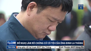 Luật sư đề nghị làm rõ chứng cứ có tội của ông Đinh La Thăng