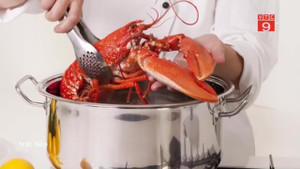 Sợ tôm hùm chết đau đớn, chính phủ Thụy Sĩ cấm bỏ tôm hùm vào nồi nước sôi
