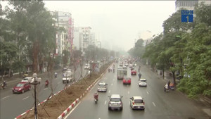 Cây phong đỏ có tồn tại được ở đất thủ đô?