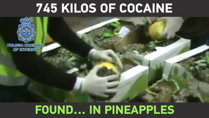 Clip: 745 kg ma túy được giấu trong những trái dứa