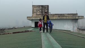 Thang máy hỏng, người già bò thang bộ, trẻ nhỏ đi trên nóc nhà