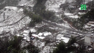 Clip: Tuyết rơi trắng đỉnh Ô Quý Hồ, Sa Pa