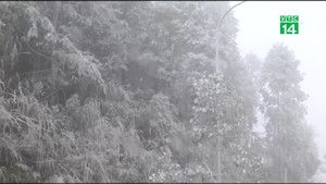 Không khí lạnh tăng cường, rét đậm rét hại kéo dài 5 ngày nữa