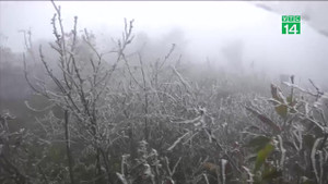 Video: Mù Cang Chải xuất hiện băng giá trên diện rộng