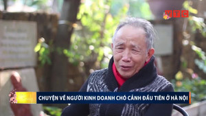 Bí mật về người kinh doanh chó cảnh đầu tiên tại Hà Nội