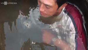 Lặn đục hàu trong cống nước ở đất mũi Cà Mau