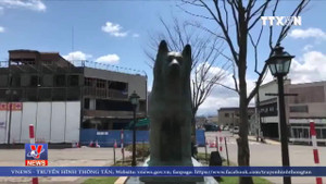 Chó đi vào điện ảnh, biểu tượng của lòng trung thành