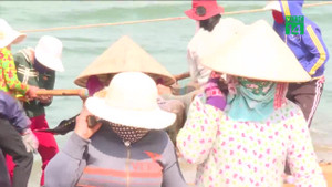 Phú Yên: Ngư dân nô nức đưa cá ngừ về đất liền