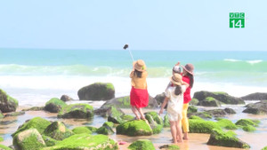 Đổ xô đến Phú Yên ngắm những khối bê tông rêu phong xanh ngắt