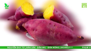 Video: Những loại siêu thực phẩm quen thuộc với người Việt nhưng ít ai biết