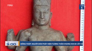 Đi cắt cỏ, người dân Đồng Tháp phát hiện tượng thần Vishnu