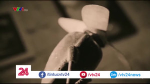 Quạt con cóc giá nửa tháng lương một chiếc hiện nay ra sao?