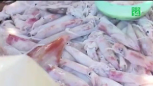 Mực ngâm trong nước: Nguy cơ gây ngộ độc thực phẩm