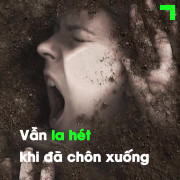 Bí ẩn căn bệnh bắt nguồn trong truyền thuyết Dracula