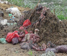 Kinh hãi xương lợn, xách bò giòi bọ lúc nhúc, ruồi bu đen kịt cả quãng đường ở Hà Nội