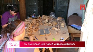 Tìm thấy tế bào ung thư cổ nhất 4000 năm tuổi