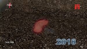 Video: Phát hiện 29 dấu chân người tiền sử niên đại 13.000 năm