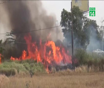 Clip: Hàng trăm người bao vây, đốt bãi lau sậy truy bắt kẻ cướp xe máy ở TP.HCM