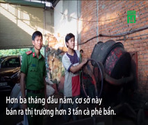 Uống cà phê bẩn bị 'nhuộm' pin con ó độc hại thế nào?