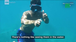 Kỳ lạ tộc người có thể lặn sâu 70m, 13 phút không cần thở dưới đại dương