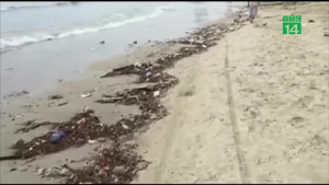 Video: Hãi hùng bãi biển Đà Nẵng ngập ngụa rác ngày nghỉ lễ