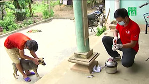 Trong một tuần, 2 cháu bé chết do chó dại cắn