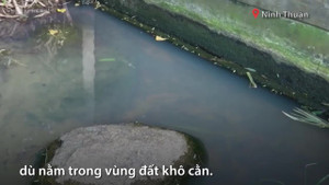 Cận cảnh hai giếng cổ hơn 500 năm tuổi ở Ninh Thuận