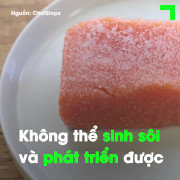 Tại sao đồ ăn ướp muối lại ngon hơn?