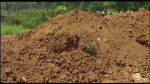 Mập mờ quanh vụ chôn chất thải ở Bắc Giang