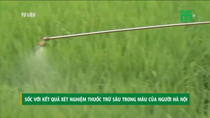 Sốc với kết quả xét nghiệm thuốc trừ sâu trong máu của 67 người Hà Nội