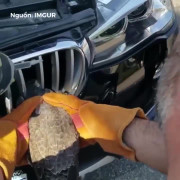 Video: Cưa ô tô, cứu chim mắc kẹt vào đầu xe