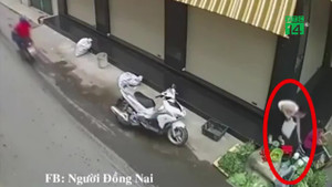 Video: Bắt nữ quái ăn mặc lịch sự trộm túi tiền của người bán rau ở Đồng Nai
