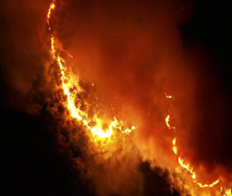 Video: Cháy lớn ở rừng Hà Tĩnh, di dời khẩn cấp 100 hộ dân