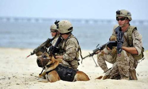 Chương trình huấn luyện 'đoạt mạng' của đặc nhiệm SEAL Mỹ