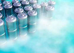 Thiếu nữ bị ung thư đông lạnh cơ thể sau khi chết chờ ngày hồi sinh