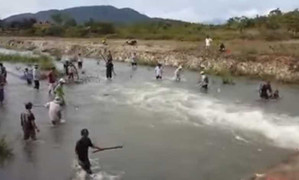 Clip: Dân Bình Thuận đổ xô bắt cá bay từng đàn như trong phim