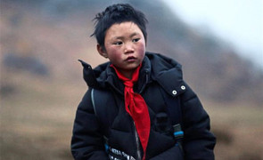 Bị truyền thông chú ý quá mức, 'cậu bé tóc đóng băng' khổ lại hoàn khổ