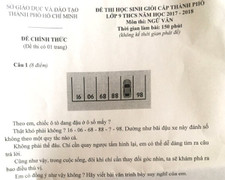 Đề thi học sinh giỏi Văn có câu hỏi Toán học