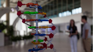 Phụ huynh phải nộp xét nghiệm ADN của con để ngăn 'chạy' trường