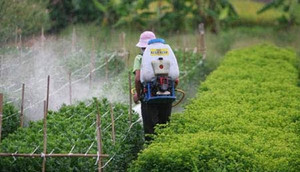 Gần 50% người xét nghiệm tại Hà Nội nhiễm thuốc trừ sâu trong máu