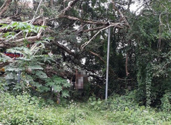 Bị vu trộm điện thoại, người đàn ông lái xe ba gác treo cổ tự tử